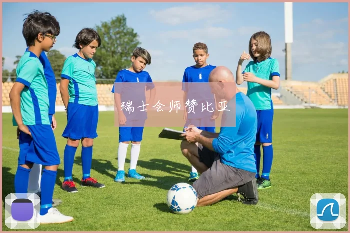 瑞士会师赞比亚