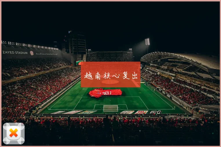 越南核心复出