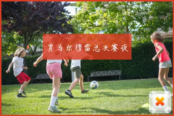贾马尔穆雷总决赛夜