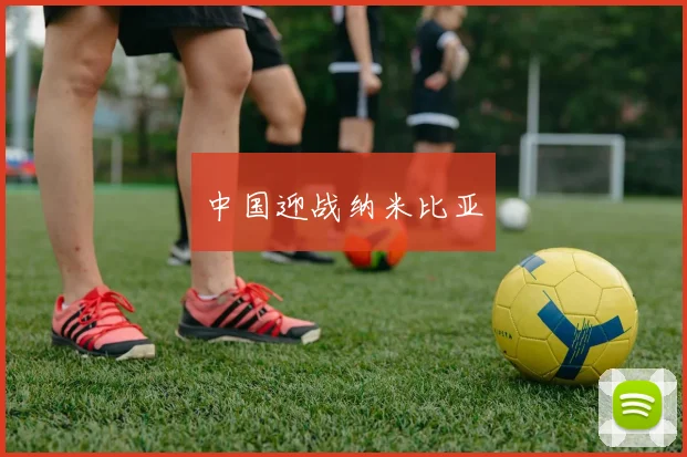 中国迎战纳米比亚
