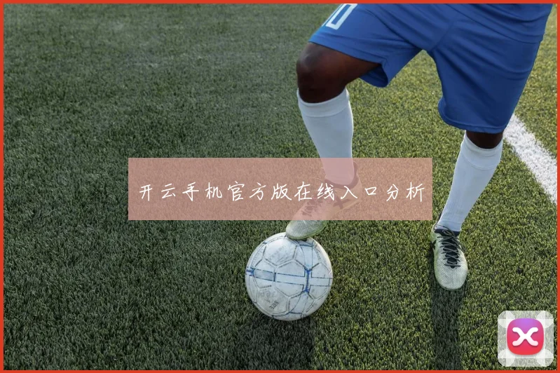 开云手机官方版在线入口分析