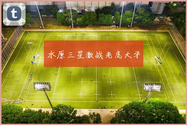 水原三星激战老虎大学