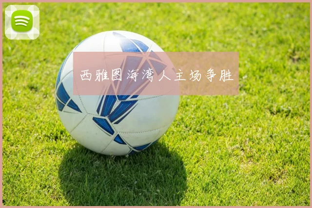 西雅图海湾人主场争胜