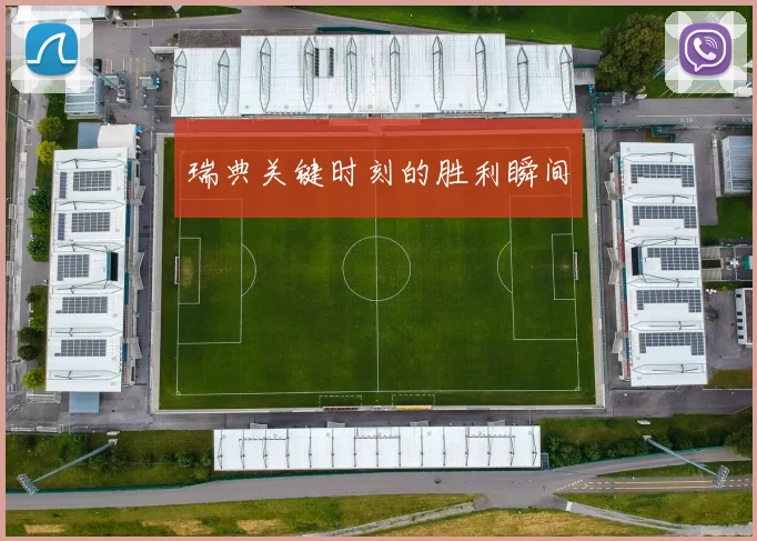 瑞典关键时刻的胜利瞬间