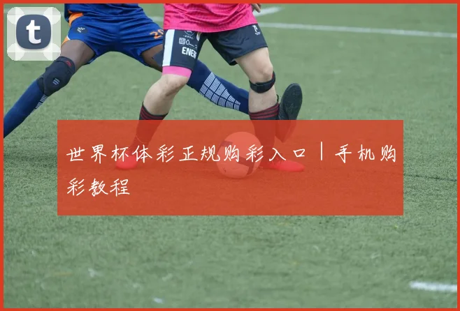 世界杯体彩正规购彩入口｜手机购彩教程