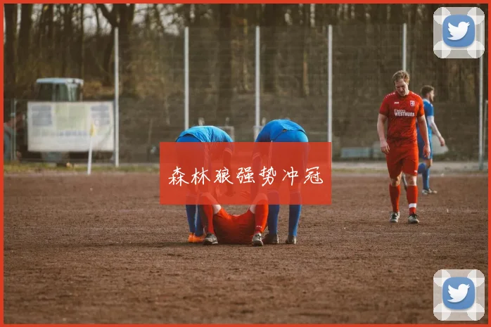 森林狼强势冲冠
