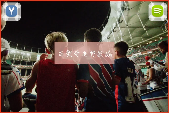 东契奇老将发威