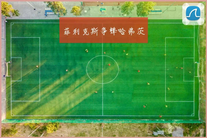 菲利克斯争锋哈弗茨
