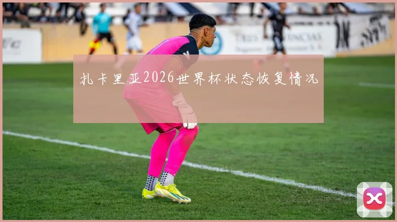 扎卡里亚2026世界杯状态恢复情况