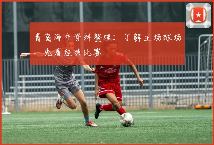 青岛海牛资料整理：了解主场球场，先看经典比赛