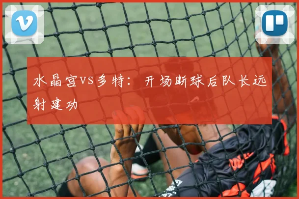水晶宫vs多特：开场断球后队长远射建功