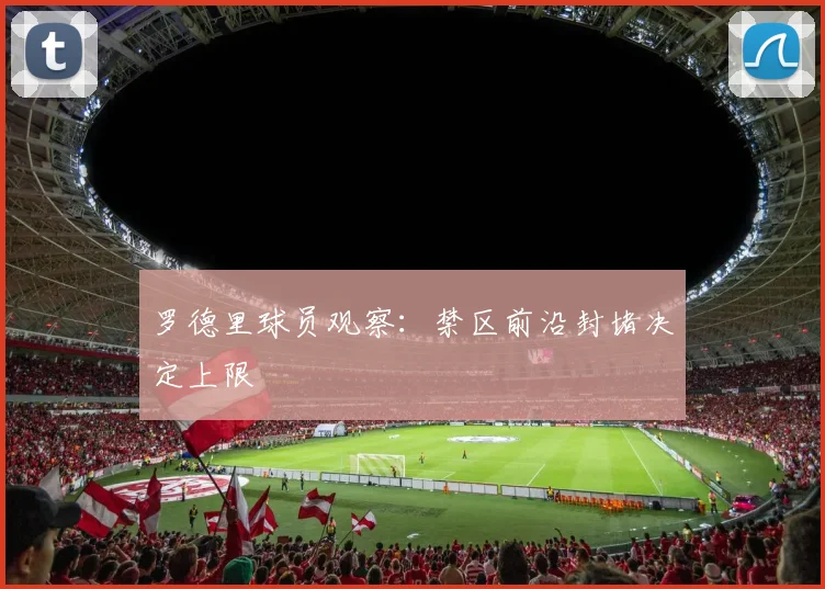 罗德里球员观察:禁区前沿封堵决定上限